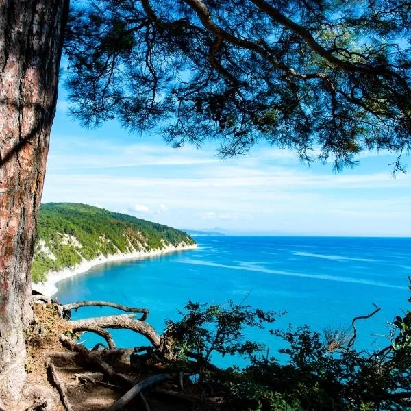 Karadeniz Turunda Yapılacaklar