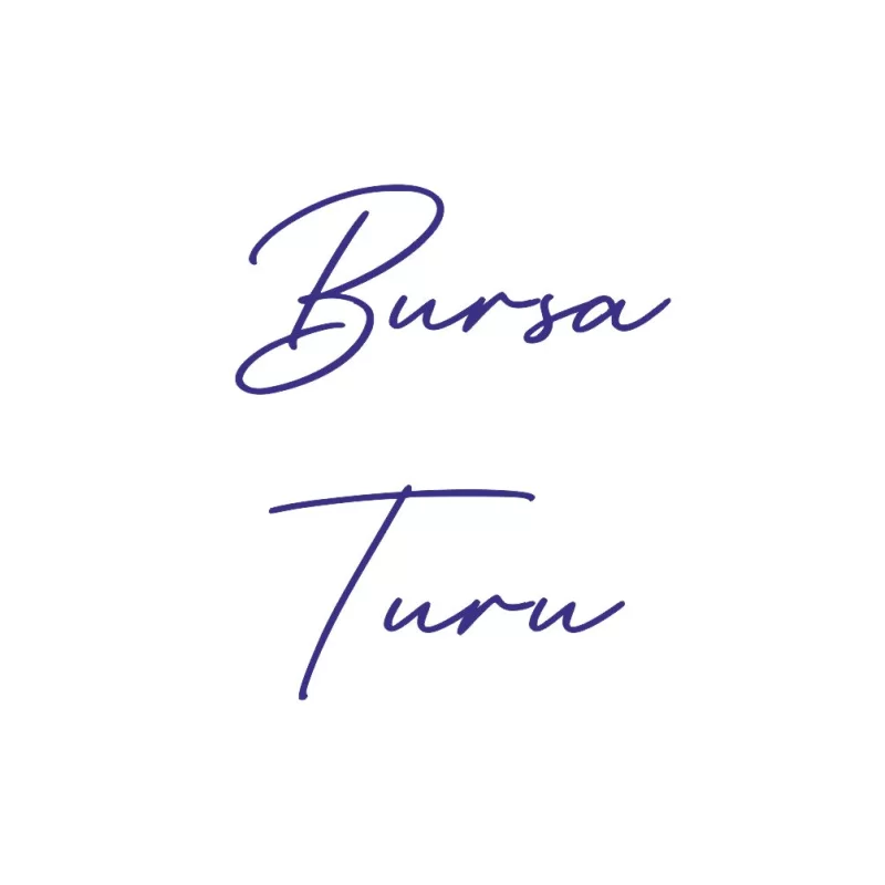 Günübirlik Bursa Turu